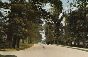 De Lange Laan, Coventry