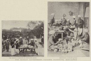 Het Madras Regeringsvaccininstituut, Bangalore