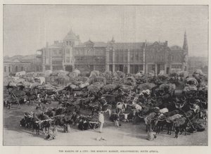 De opkomst van een stad, de ochtendmarkt, Johannesburg, Zuid-Afrika