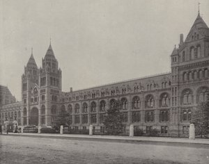Het Natural History Museum (z/w foto)