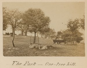 Het Park - One Tree Hill, Greenwich door English Photographer