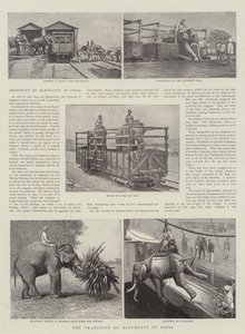 Het transport van olifanten in India