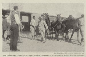 De Transvaal-crisis, het uitladen van paarden voor dienst bij de troepen van kolonel Baden-Powell door English Photographer