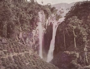 De Tweelingwatervallen (Koffie groeit op de voorgrond), Ceylon