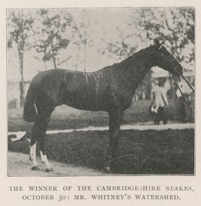 De Winnaar van de Cambridgeshire Stakes, 30 oktober, Mr Whitneys Watershed door English Photographer
