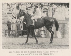 De winnaar van de Kempton Park Stakes, 11 oktober, Mr T Kincaids Epsom Lad (Gomez op) door English Photographer