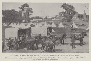 Transportwagens van het Zuid-Australische Bushmens Corps voor Zuid-Afrika