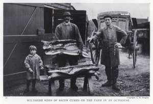 Wiltshire spekzijden gerookt op de boerderij in een bijgebouw door English Photographer