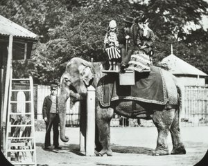 Dierentuin, Regents Park: olifant met volwassenen en kinderen die een ritje maken, Londen Zoo, 1894 door English Photographer