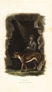 18e-eeuwse Engelse heer en zijn tamme wolf, Canis lupus, bij de ingang van een grot door English School