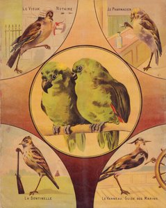 4e omslag: paar vogels en andere vogels, Engels door English School