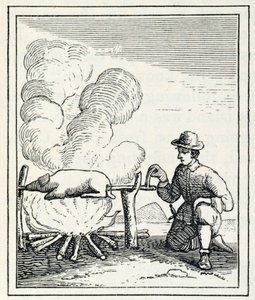 Een Boucan, uit 