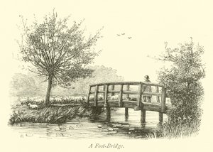 Een voetbrug
