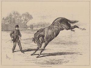 Een zenuwachtige jongere (gravure) door English School