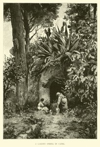 Een tuinspring in Capri