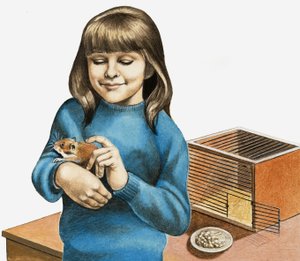 Een meisje en haar hamster door English School