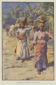 Een bananenplantage in Jamaica (kleurenlitho)