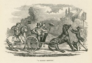 "Een nierdruppelaar" (gravure) door English School