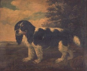 Een King Charles Spaniel in een Landschap