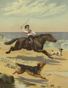 Een Ochtendgalop