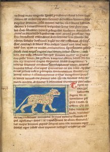 Een tijger, uit Sloane 3544, f.2