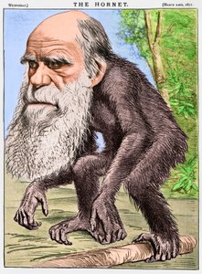Een eerbiedwaardige orang-oetang, een karikatuur van Charles Darwin als een aap