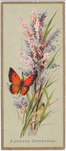 Een Victoriaanse kerstkaart van een vlinder tussen hoge grassen, c.1880
