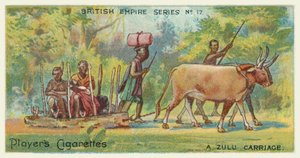Een Zulu Koets door English School