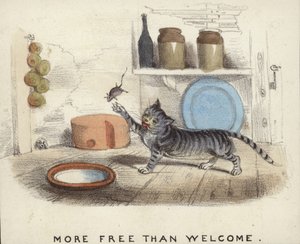 Een kat die speelt met een muis die hij heeft gevangen door English School