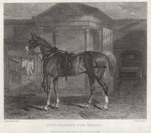 Een beroemde cab paard door English School