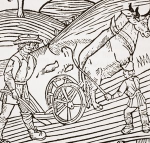 Een paar ossen aangespannen aan een ploeg, titelpagina uit John Fitzherberts Boke of Husbandry, eerst gepubliceerd 1523 door English School