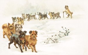 Een trein van honden in de sneeuw door English School