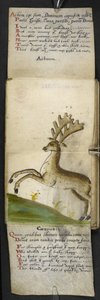 Jachtboek
