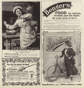 Advertentiespread uit The Graphic Christmas Number 1896 door English School