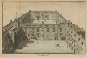 Luchtfoto van Bridewell Palace door English School