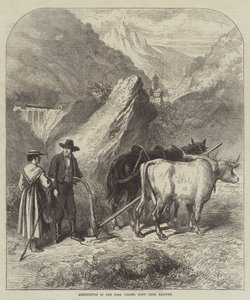 Landbouw in de Dora-vallei, Mont Cenis-spoorweg (gravure) door English School