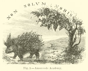 Amorevole Academie