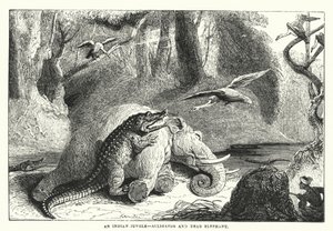 Een Indiase jungle, alligator en dode olifant (gravure) door English School