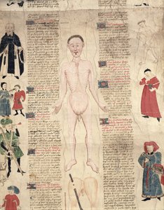 Anatomisch diagram, uit De arte phisicali e de cirugia door John Ardene door English School