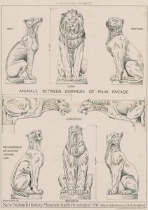 Dieren tussen dakkapellen van de hoofdgevel van het nieuwe Natuurhistorisch Museum, South Kensington door English School