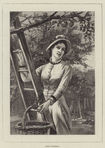 Appelpluk