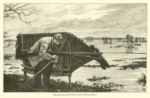 Naderende Wilde Eend met Stalkpaard door English School