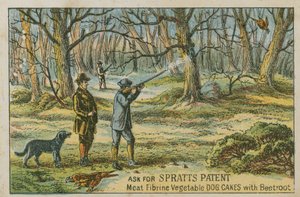 Vraag naar Spratts Patent door English School