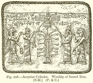 Assyrische cilinder. Aanbidding van de heilige boom door English School