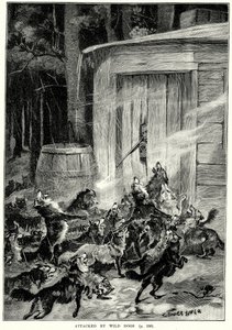 Aangevallen door wilde honden (gravure) door English School