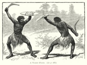 Australië: Een Waddy Gevecht (gravure)