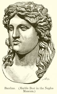 Bacchus. (Marmeren buste in het Museum van Napels) (gravure) door English School