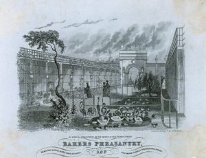 Bakers Fazanterie, Chelsea door English School