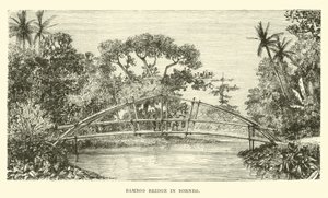 Bamboebrug in Borneo door English School