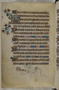 Bas-de-page scène van een haan en een gevleugelde slang die vechten, met een versierde initiaal 